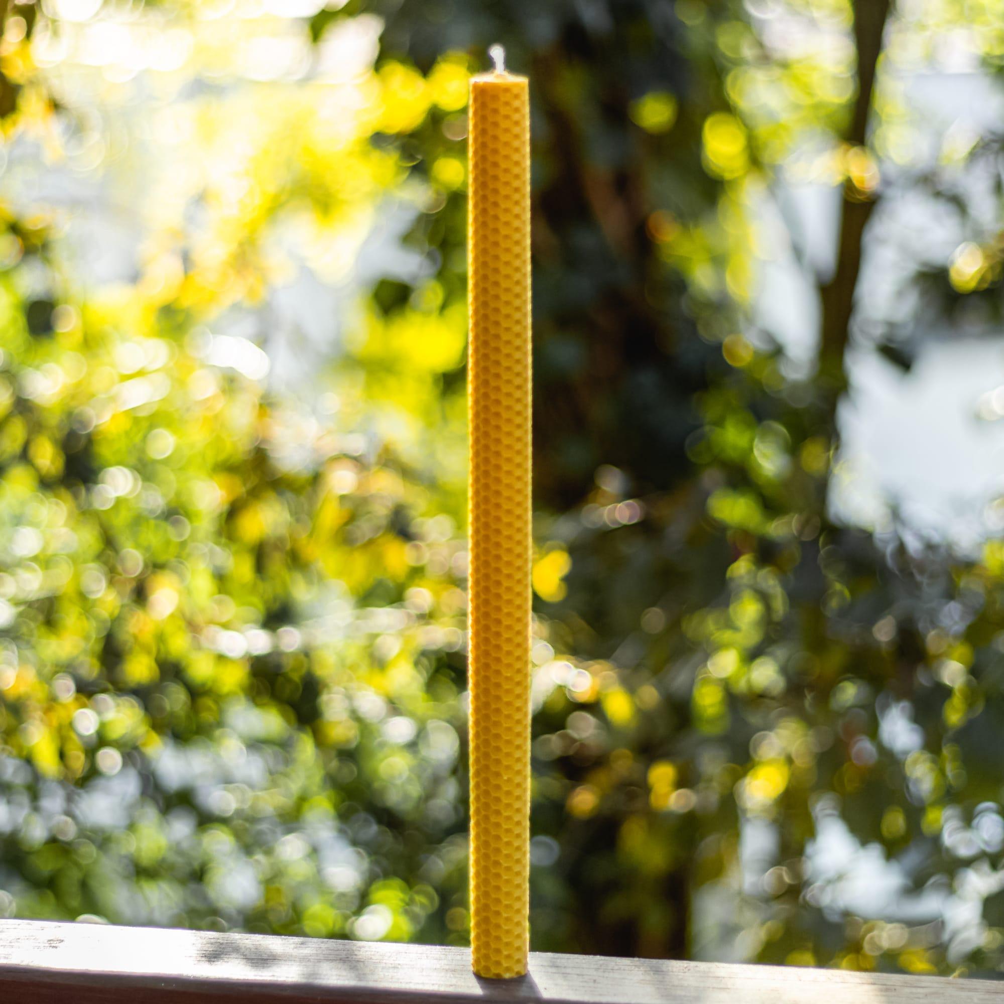 Garden Light Svetia Slava kézzel tekert méhviasz gyertya